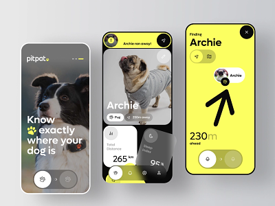 PitPat - device for tracking physical activity of dogs ai app automation chatgpt gps mobile tracking ui ux