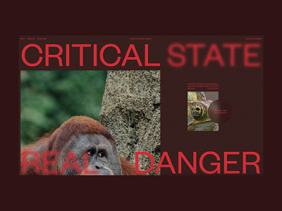 Critical Danger animation digital ui ui design web design webflow website