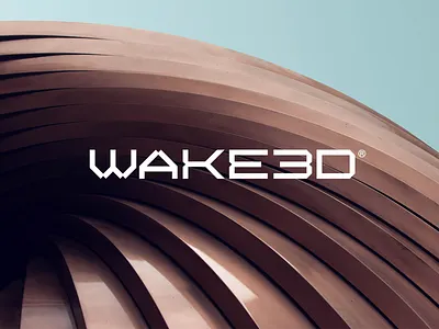 Logotype 3d branding design graphic design illustration logo logodesign logotype minimal vector