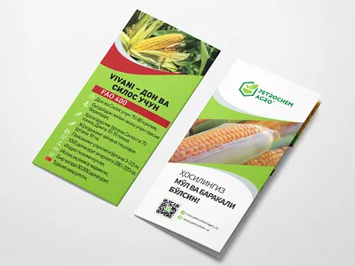 Eurobooklet booklet branding graphic design print vector