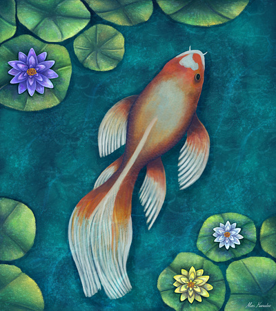 Underwater adobe photoshop concept art digital art digital illustration digital painting fish illustration pond underwater water water lilies