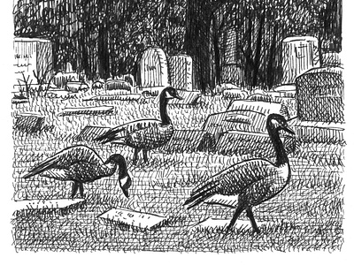 Graveyard Gaggle art artist artwork birds drawing goose hand drawn illustration ink nature trees