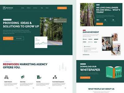 RedWoods Creative Agency app balance design figma minimalist ui ux