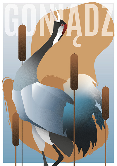 Nature Illustration | BPN aquatic warbler bird crane explore graphic design illustration moose outdoors travel wildlife