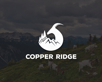 Copper Ridge - Branding graphic design logo vector