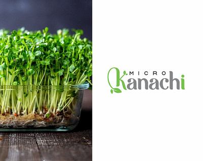 Micro Kanachi Branding branding creative design graphic design logo logo design micro greens