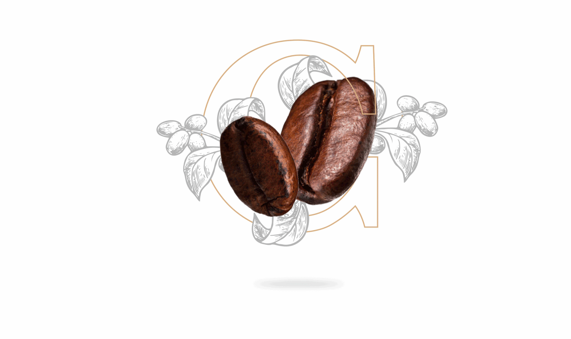 Craft Coffee Branding branding coffee creative design graphic design illustration logo logo design