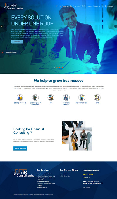 Custom Website for Finance Consultant branding consultant custom design finance web application wordpress