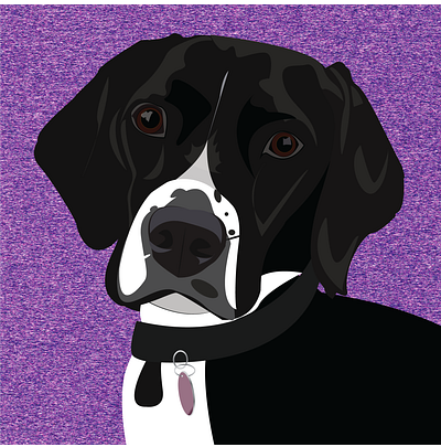 Alfie - Pet Portrait design graphic design illustration illustrator vector