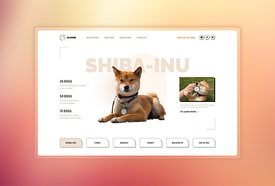 Dog Shelter Website bussinescard concept landing shelter site ui web webdesign website