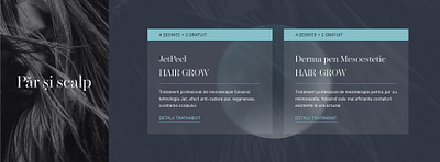 Hair Growth Offer Section - Beauty Clinic beauty beauty clinic clinic design figma hair hair growth health offer web design wellness