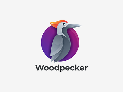 Woodpecker app branding design graphic design icon illustration logo ui ux vector woodpecker woodpecker coloring