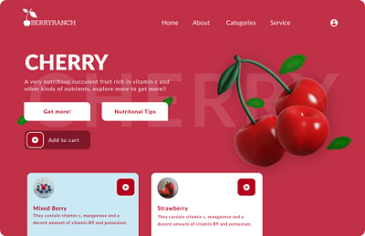 Berryranch branding graphic design ui ux