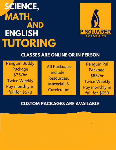 Tutoring Flyer Sample branding custom design flyer graphic design school tutoring