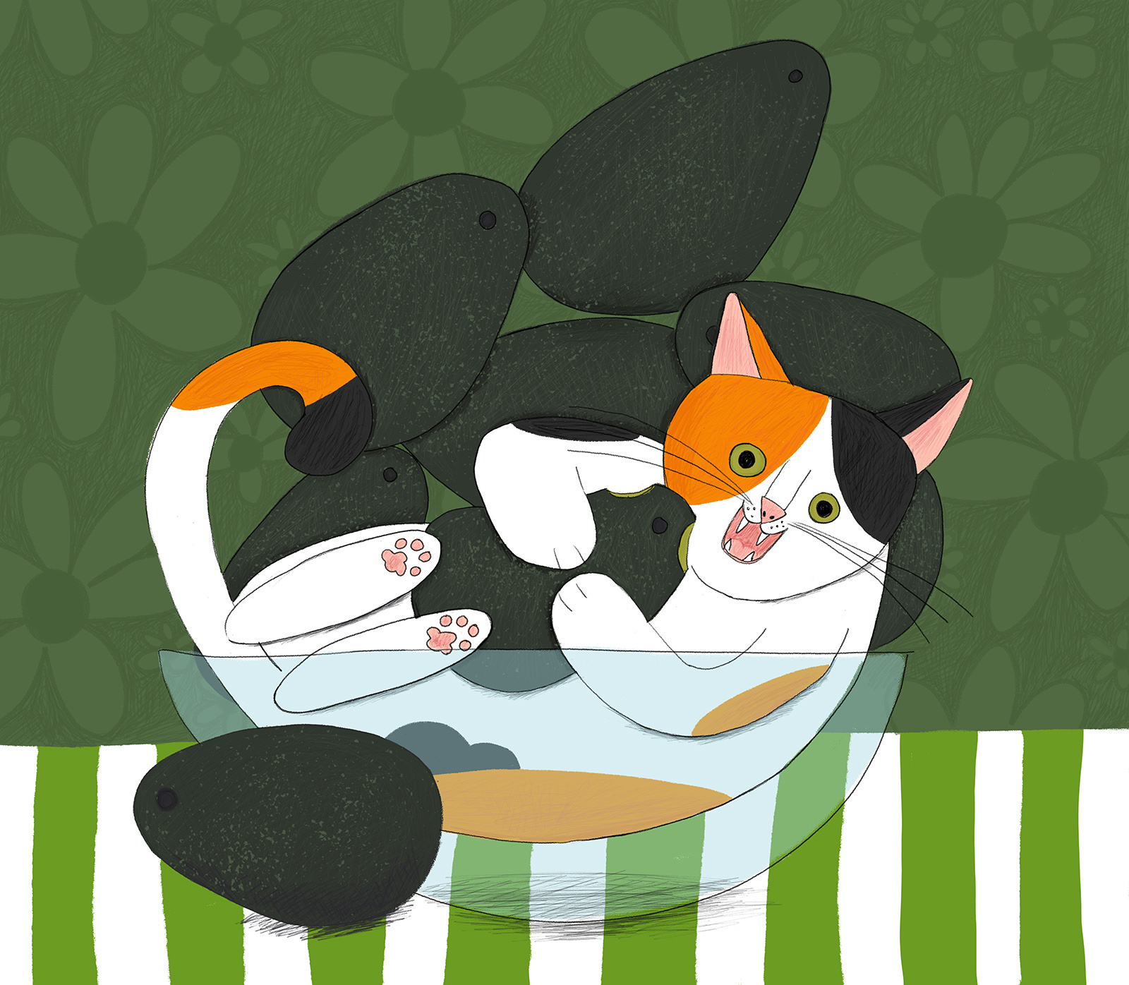 Avocado Cat art for kids catillustration childrens book childrens illustration cute drawing cute illustration funnyillustration illustration kidlitart
