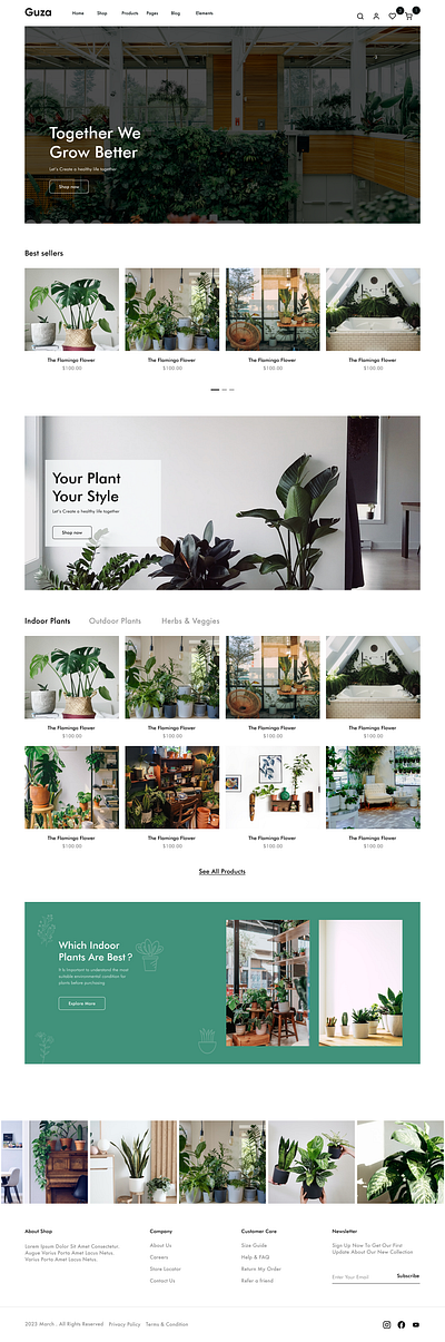 The Plant Market design plants website plantsmarket ux webdesign