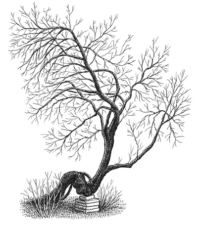 Weary Tree art artist artwork design drawing hand drawn illustration ink nature plants tree