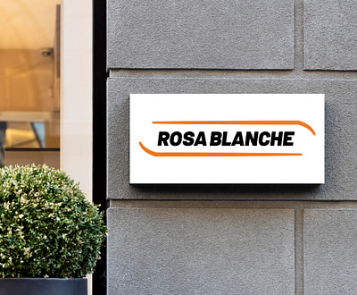 RosaBlanche (Branding 2021) branding commercial design fashion graphic design logo rosablanche ski sport sportwear visual identity winter