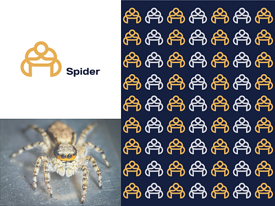 Pictorial Mark Logo - Spider icon applogo cretivelogo letterlogo logo logoart logoawesome logodaily logodesign logodesigner logogrid logoinspiration logoinspire logomaker logomark logopassion logoprocess logoroom logosai logotype minimallogo