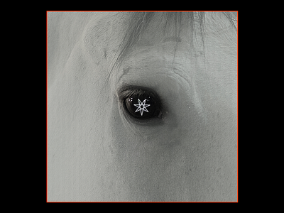 Foal˥ooʞ design eye graphic heptagram horse minimal red typography