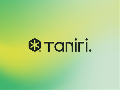 Taniri Logo brand brand design branding logo logo design modern logo monogram logo