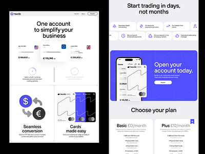 Nauda Web banking app branding card finance fintech graphic design guidelines landing logo online banking ui web website