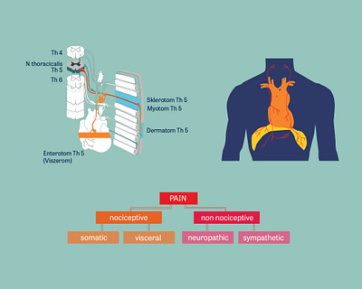 Visceral neck pain graphics design digital illustration graphics health infographics medical illustration