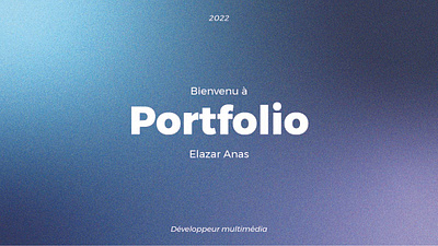 DESIGNER & ILLUSTRATOR PORTFOLIO / 2022 branding graphic design logo ui