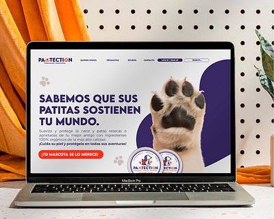 Pawtection · Pet Care Branding + Web Design branding graphic design logo ui web design wix