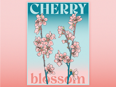 Cherry Blossom - homage to Spring adobe illustrator blossom branding cherry illustration poster spring vector
