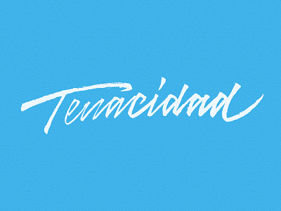 Tenacidad brushpen calligraphy graphic design lettering letters merch script type typography