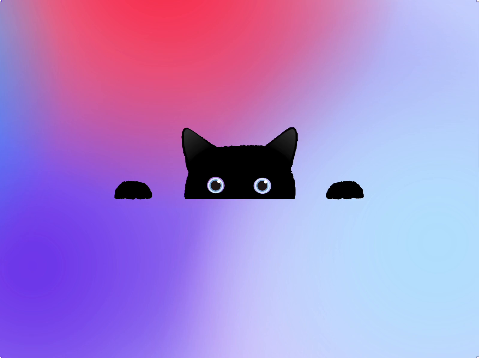 Cute/cat banking app (animation) by Oleksandr Dis on Dribbble