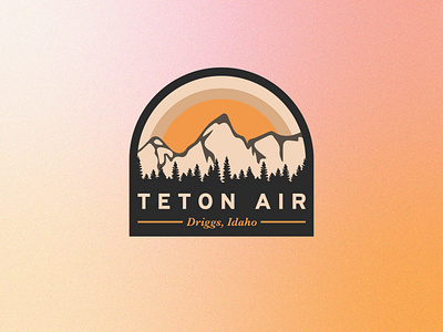 Teton Air Badge badge design illustration lettermark logo plane