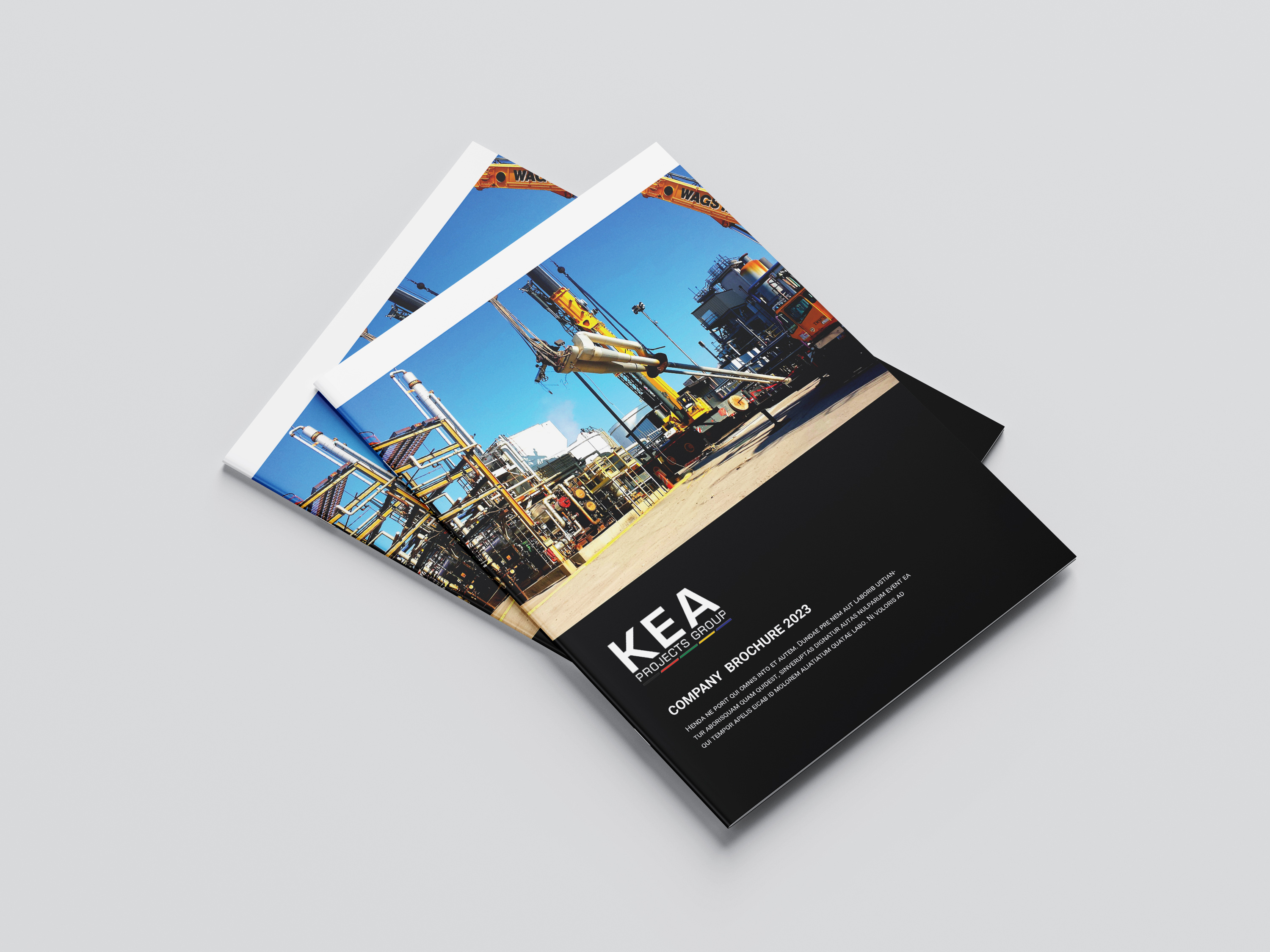 Business Brochure Design Indesign file adobe indesign adobe photoshop branding business profile business proposal company flyer company profile design graphic design illustration logo mohammad anamul hoq motion graphics ui vector