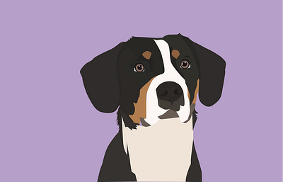 Bernese Mountain Dog design dog dog illustration graphic design illustration