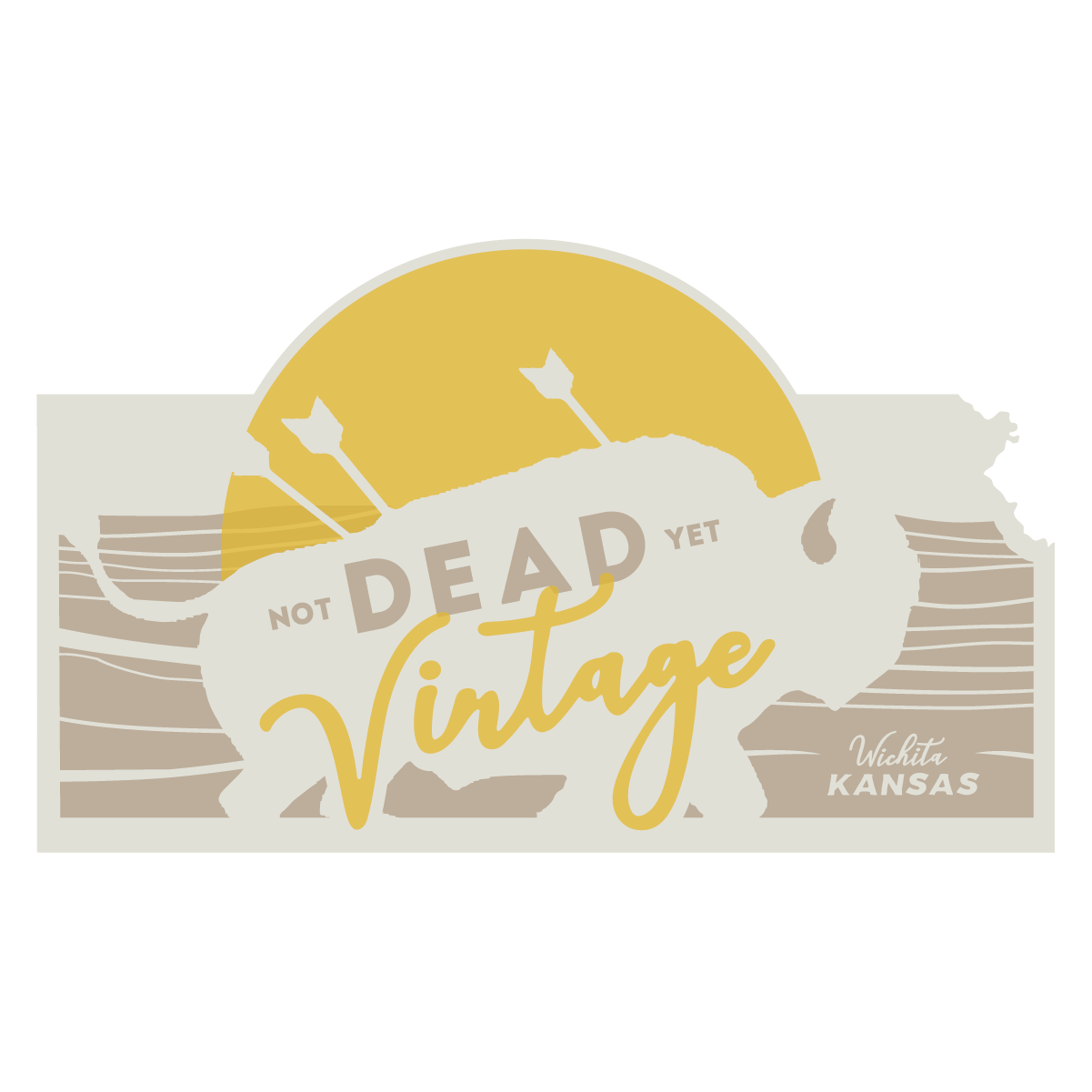 NDY Vintage Bison Rome KS branding design graphics illustration logo vector