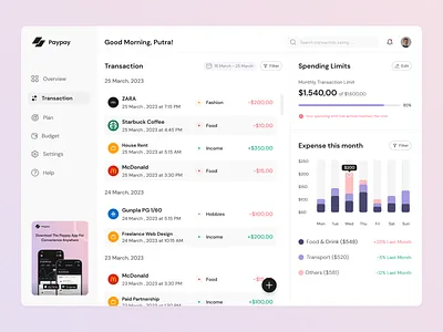 Paypay Money Management Dashboard - Transaction budget fintech mobile money money managment payment spending transaction ui website