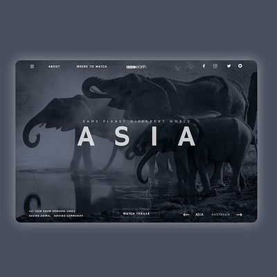 ASIA design figma ui ux webdesign