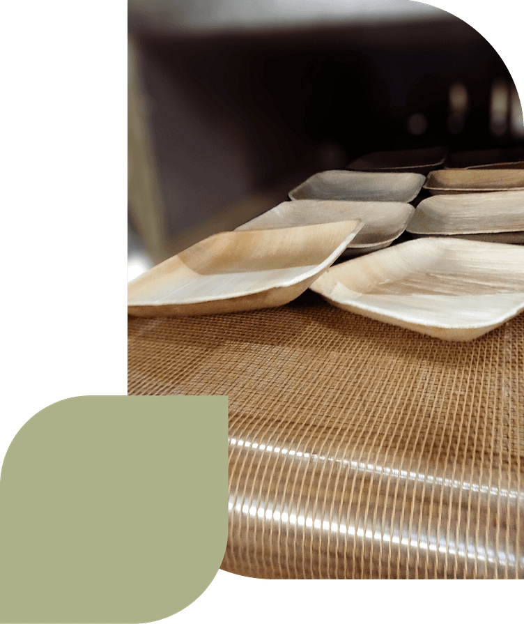 How palm leaf plates are more natural, and how quickly Agrileaf by