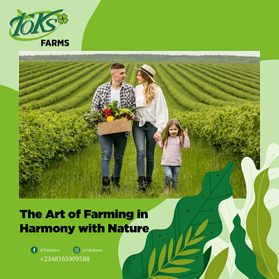 Social Media Post for Toks Farm branding graphic design typography