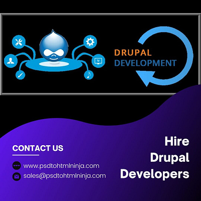 Expert Drupal Developers for Hire - Elevate Your Website Today hire drupal developers web developers web development