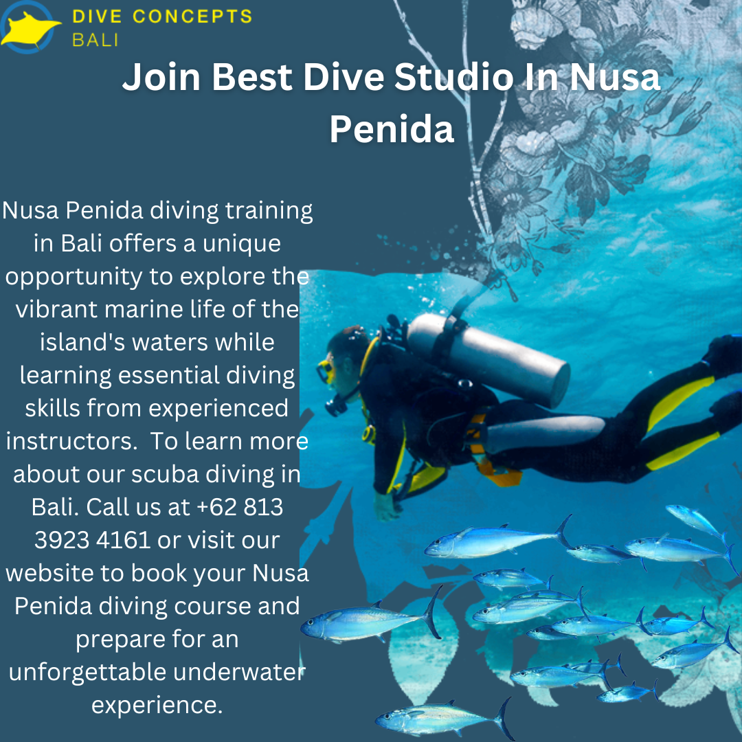 Join Best Dive Studio In Nusa Penida - Dive Concept By Dive Concepts On 