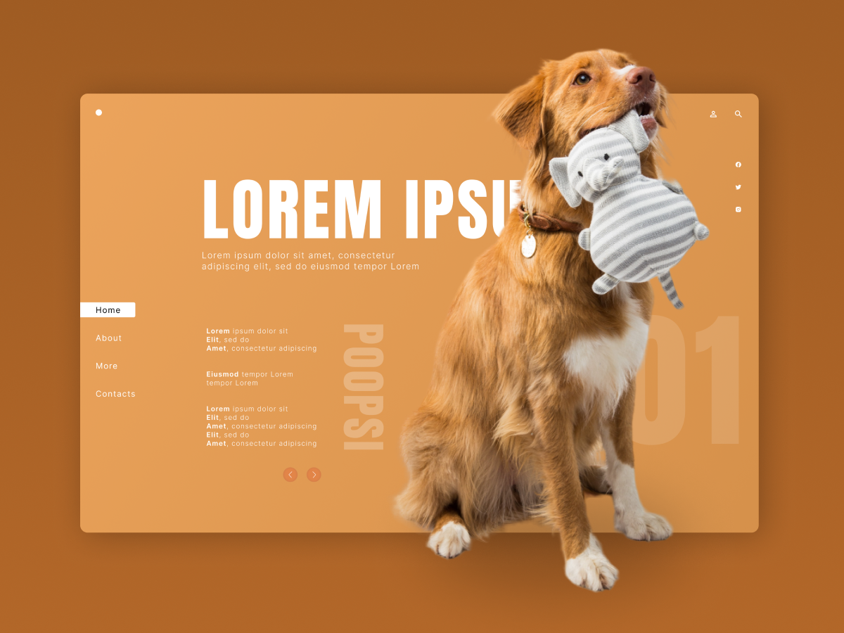 screen-for-pet-shop-by-on-dribbble