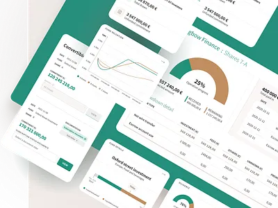 PE Cube app dashboard design finance fund ui ux