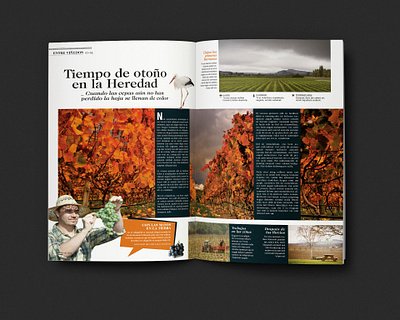 Heredad magazine design editorial design graphic design