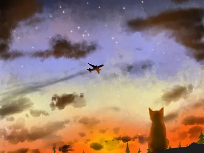 Cat with sunset art book cat commission cover book draw illustration lanscape open commission