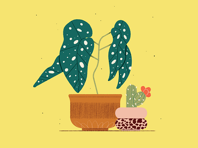 September Prompt / No.7 - Green digital illustration flat green house plants illustration plants pot