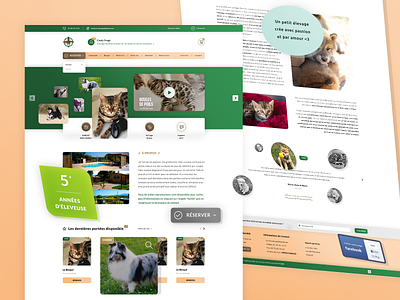 Animals. Site 🐶 1920 px 3d mockup animals dog cat free freebies fully responsive graphic design green orange homepage ios android application landing page photoshop psd print designer reserve sell animals templates ui ux design video movie website