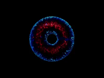 Hairy Bagel adobe c4d design motion graphics octane