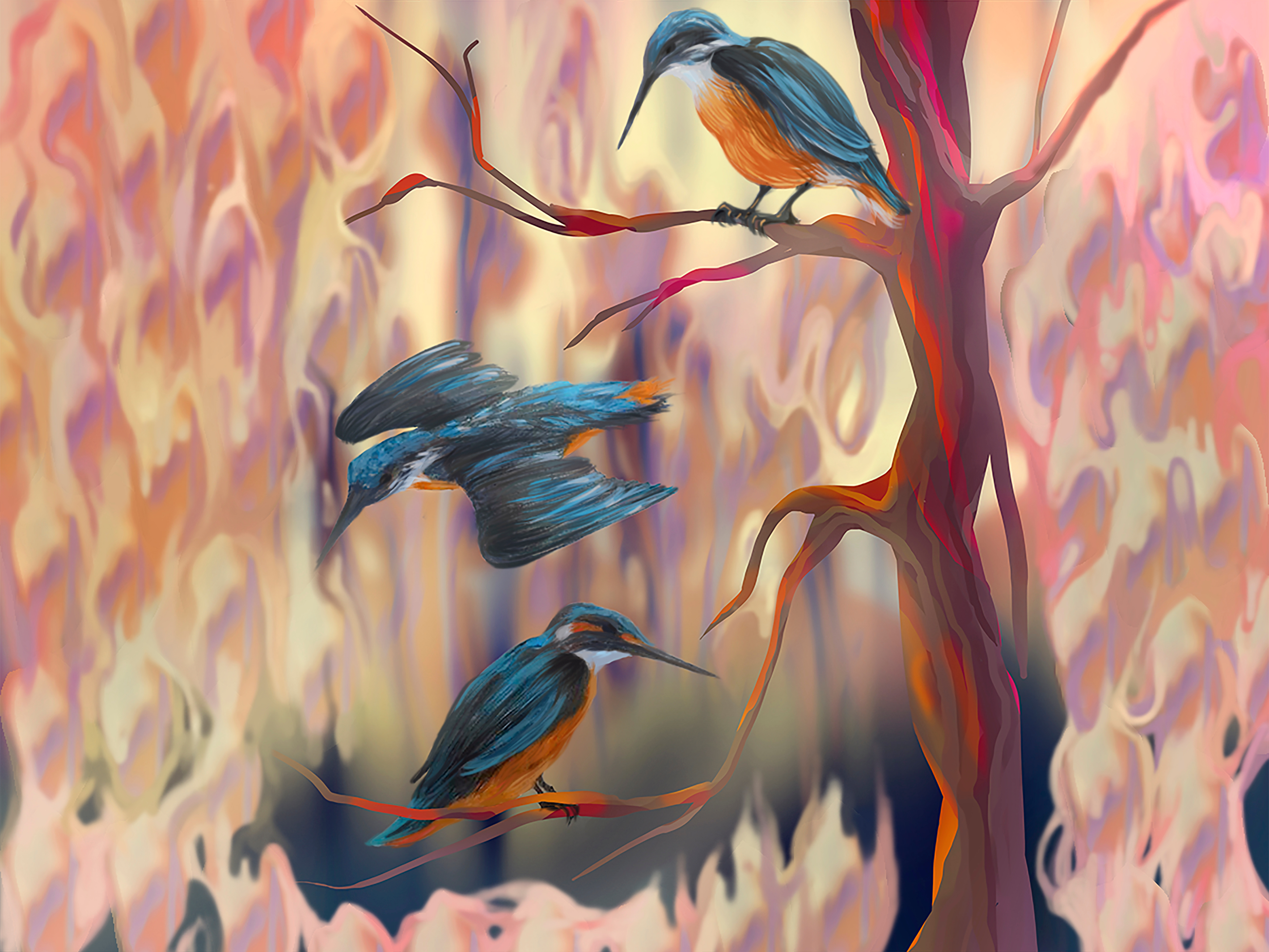 birds animals illustration